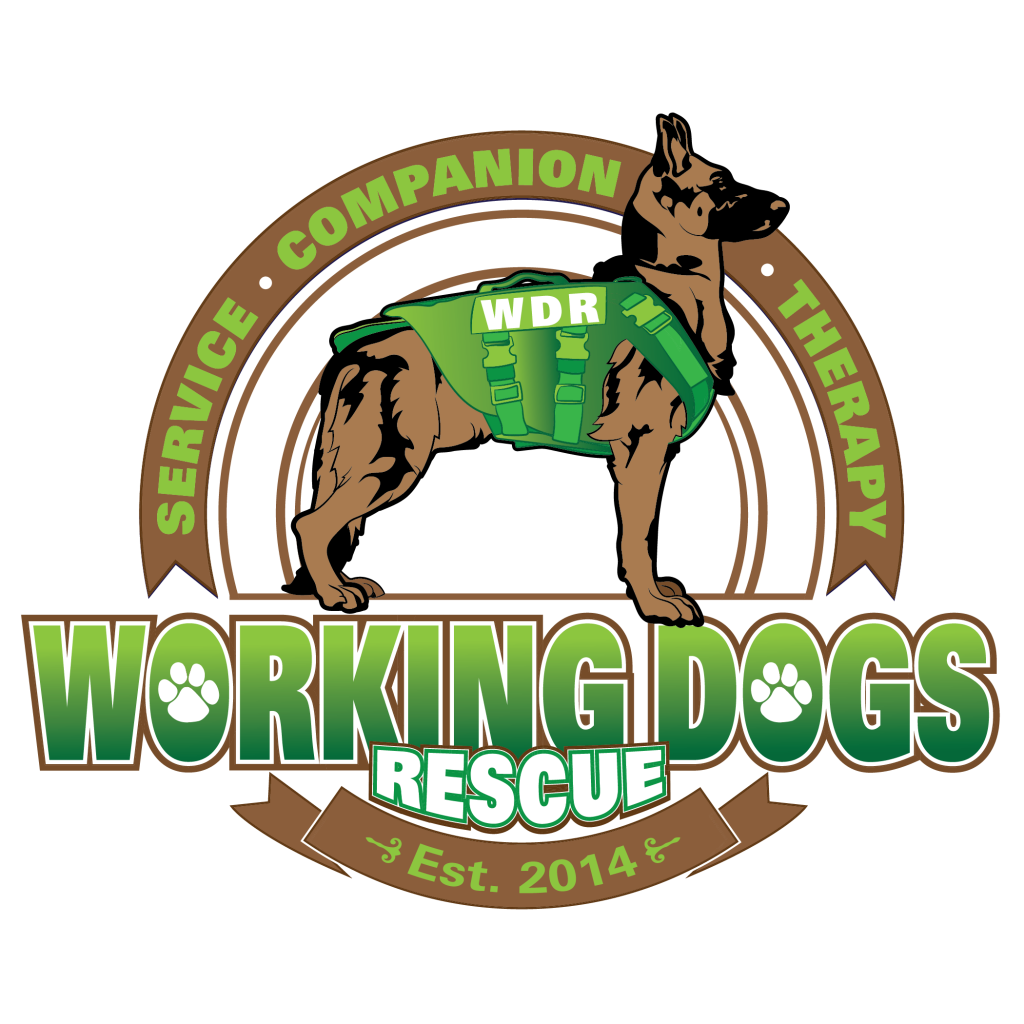 Working Dogs Rescue From Shelter Dog to Working Dog