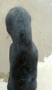 so thin!
