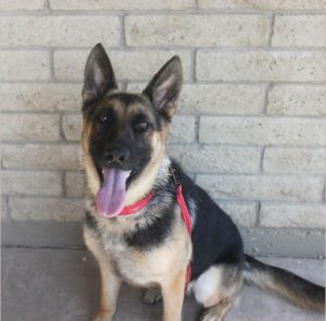 Sweet Ruby